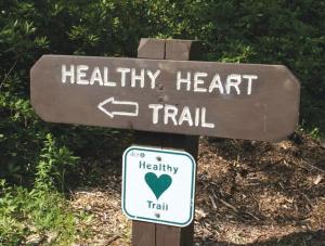 healthy trail