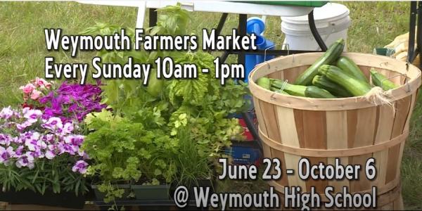 Weymouth Farmers Market Video 