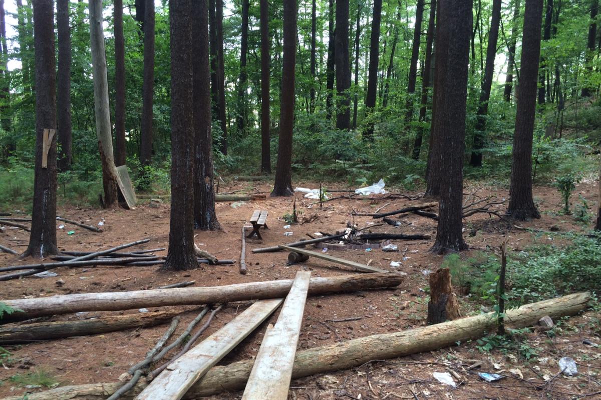 Debris found along trails