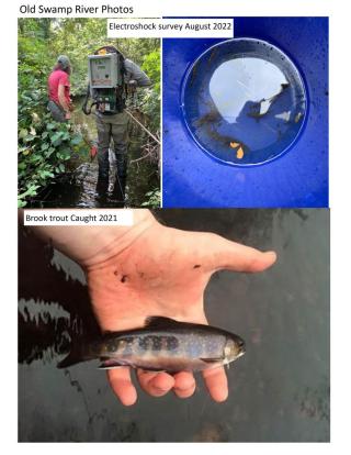 Fish surveys in the OSR showing brook trout caught in 2019 and electroshock surveys in 2022.