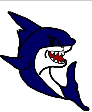 Weymouth Blue Sharks Swim Team