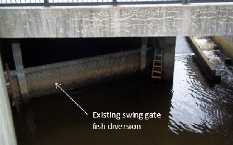 Existing swing gate